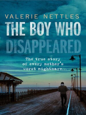 cover image of The Boy Who Disappeared
